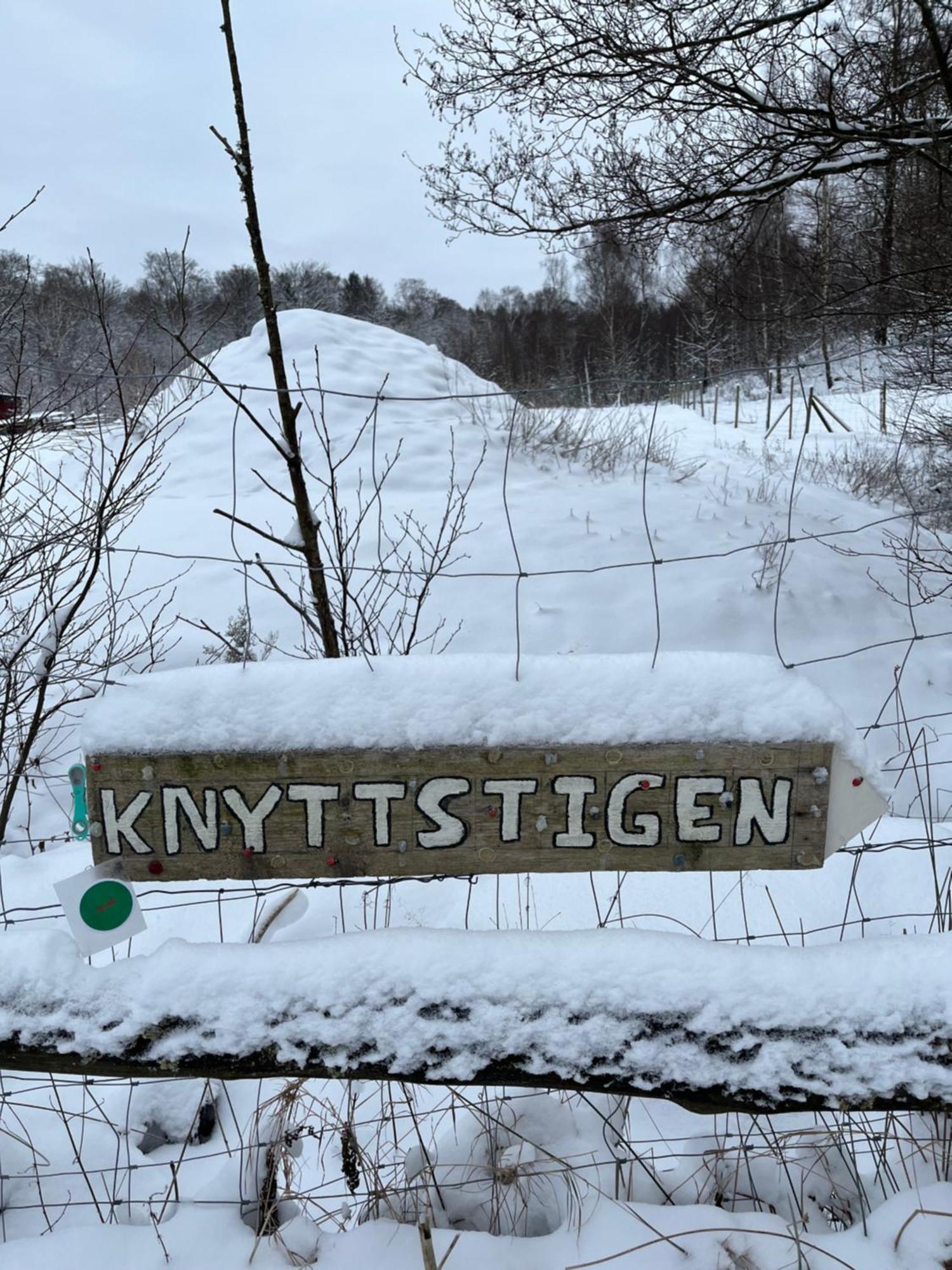 Ullstorps Stugor Höör Extérieur photo